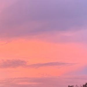 Meet your Posher, Zoe